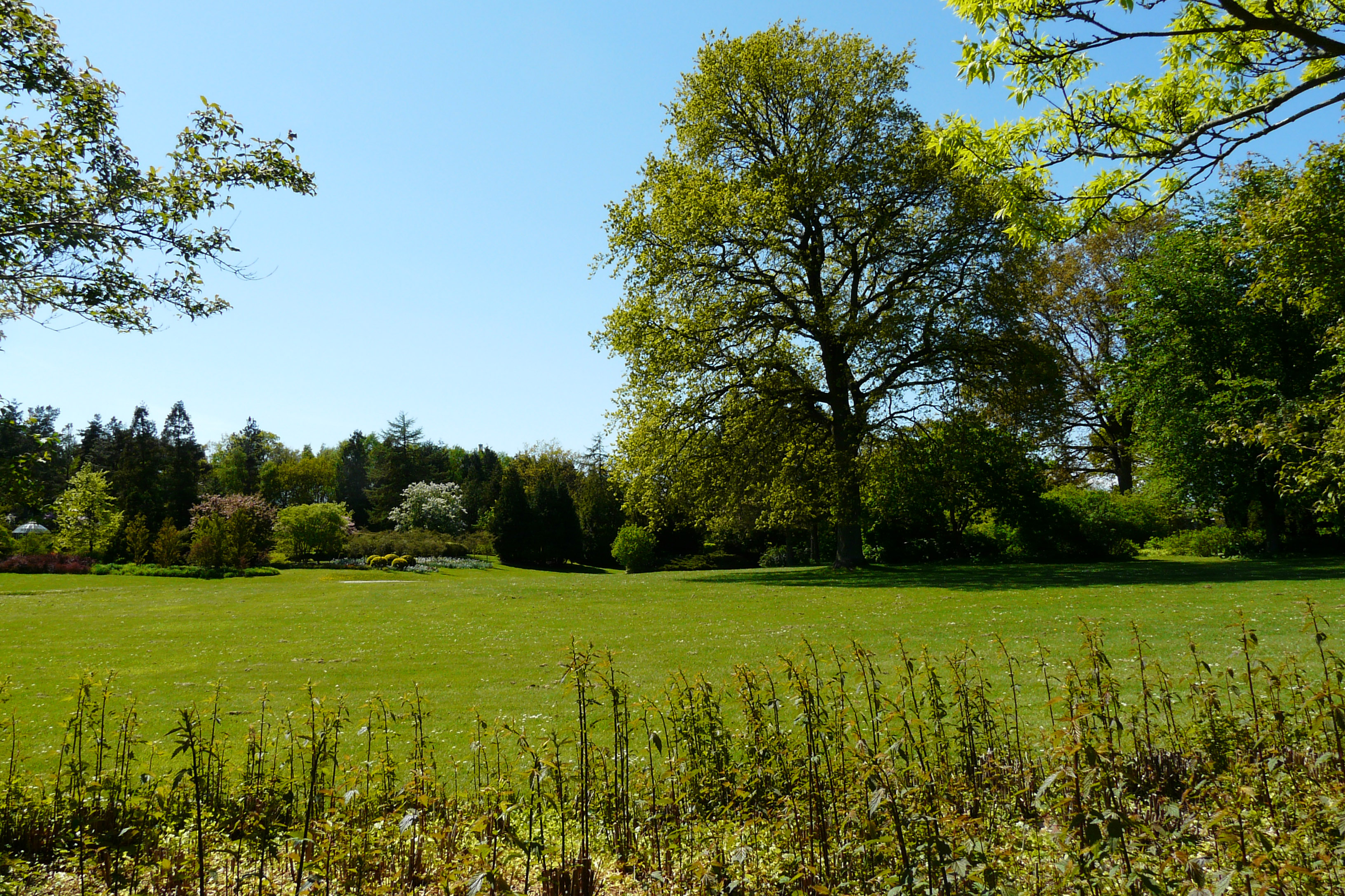 Geographical Garden